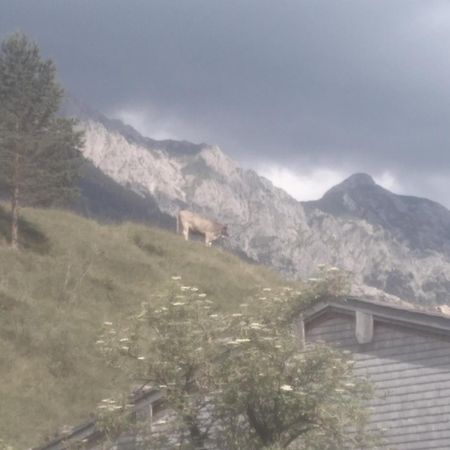 Holzhaus Besler Vila Bad Hindelang Exterior foto
